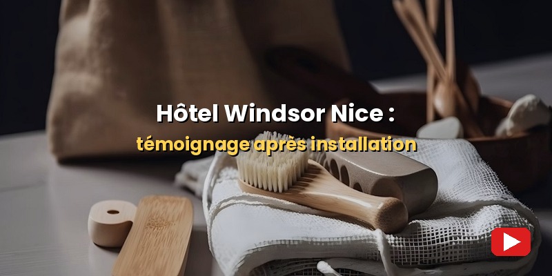 vignette_windsor2